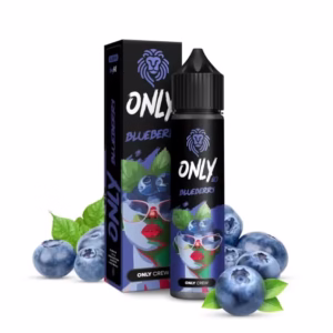 Longfill ONLY 6/60 Blueberry