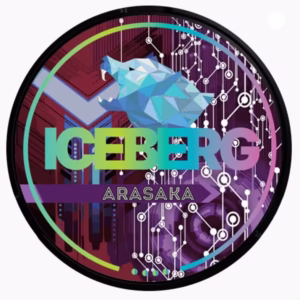 Woreczki nikotynowe Iceberg 50mg – Arasaka